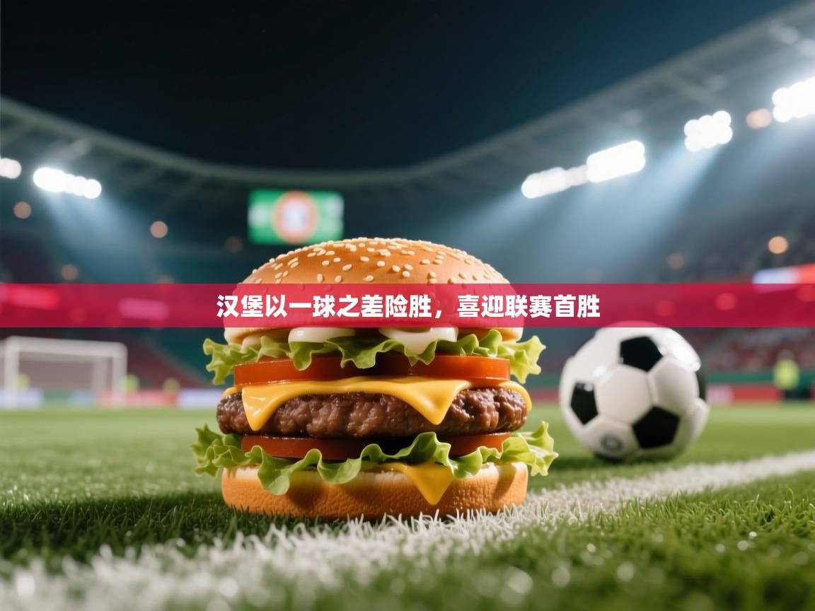 汉堡以一球之差险胜，喜迎联赛首胜  第1张