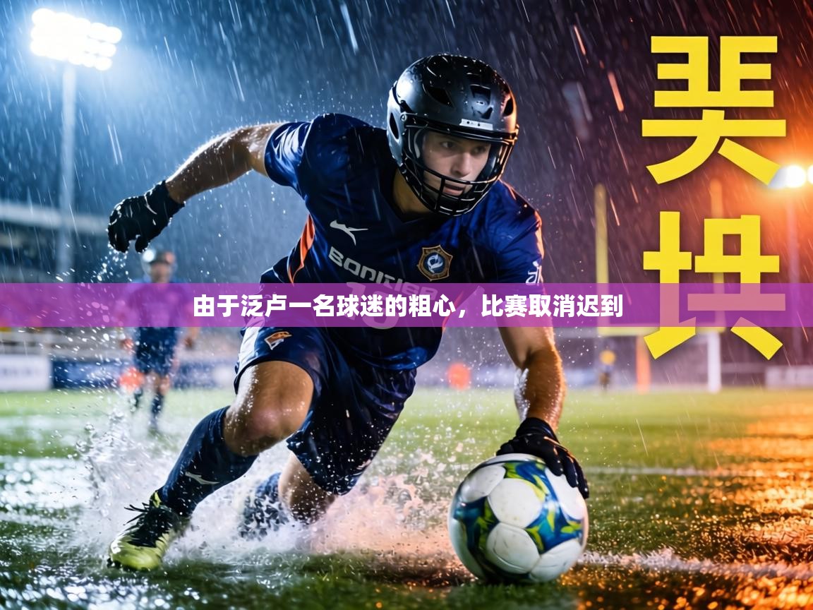 由于泛卢一名球迷的粗心，比赛取消迟到  第1张